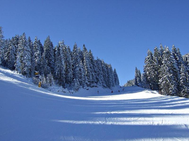 L&N Apartmani Kopaonik-Milmari Resort Exterior photo