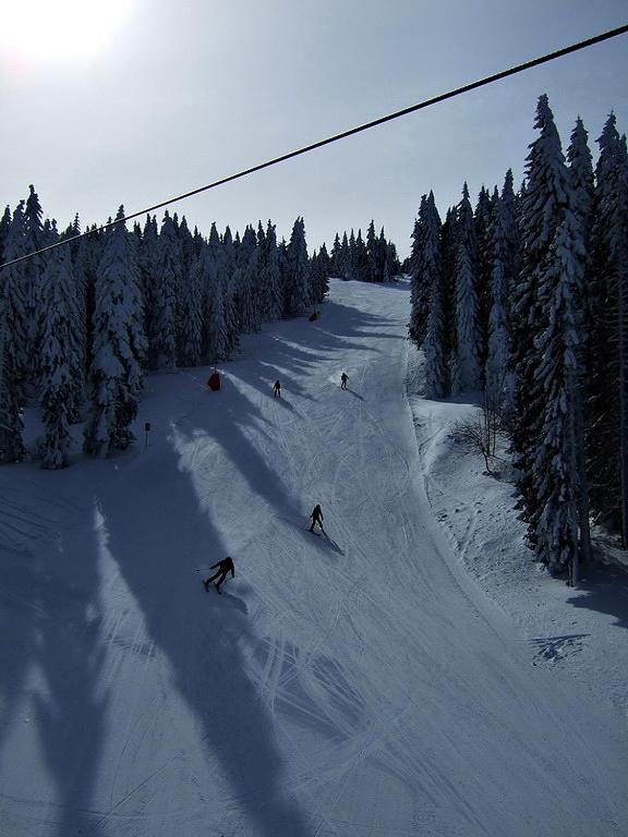 L&N Apartmani Kopaonik-Milmari Resort Exterior photo